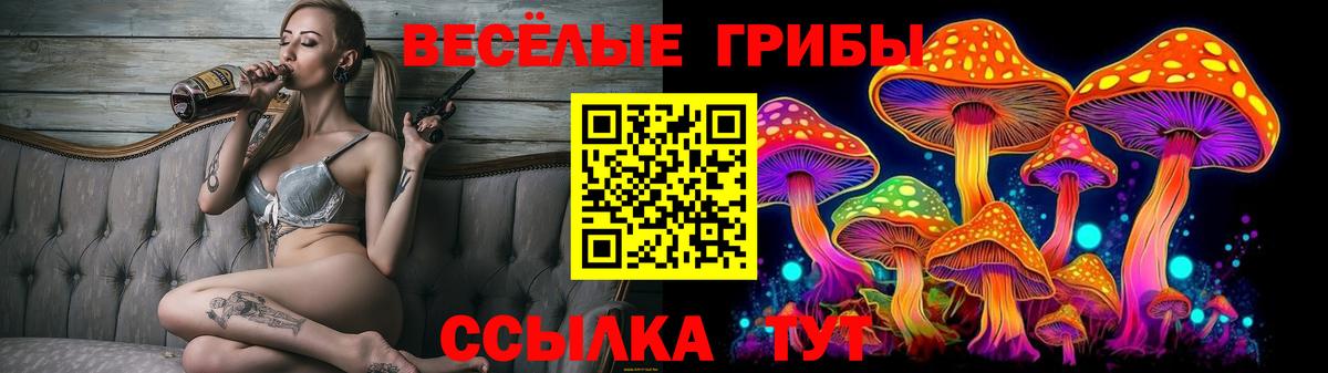 Галлюциногенные грибы Psilocybe Ковров