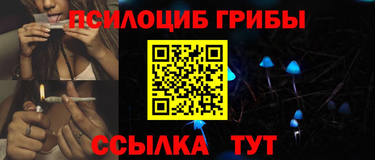 Галлюциногенные грибы Psilocybine cubensis  Вход с VPN  хочу   Ковров 